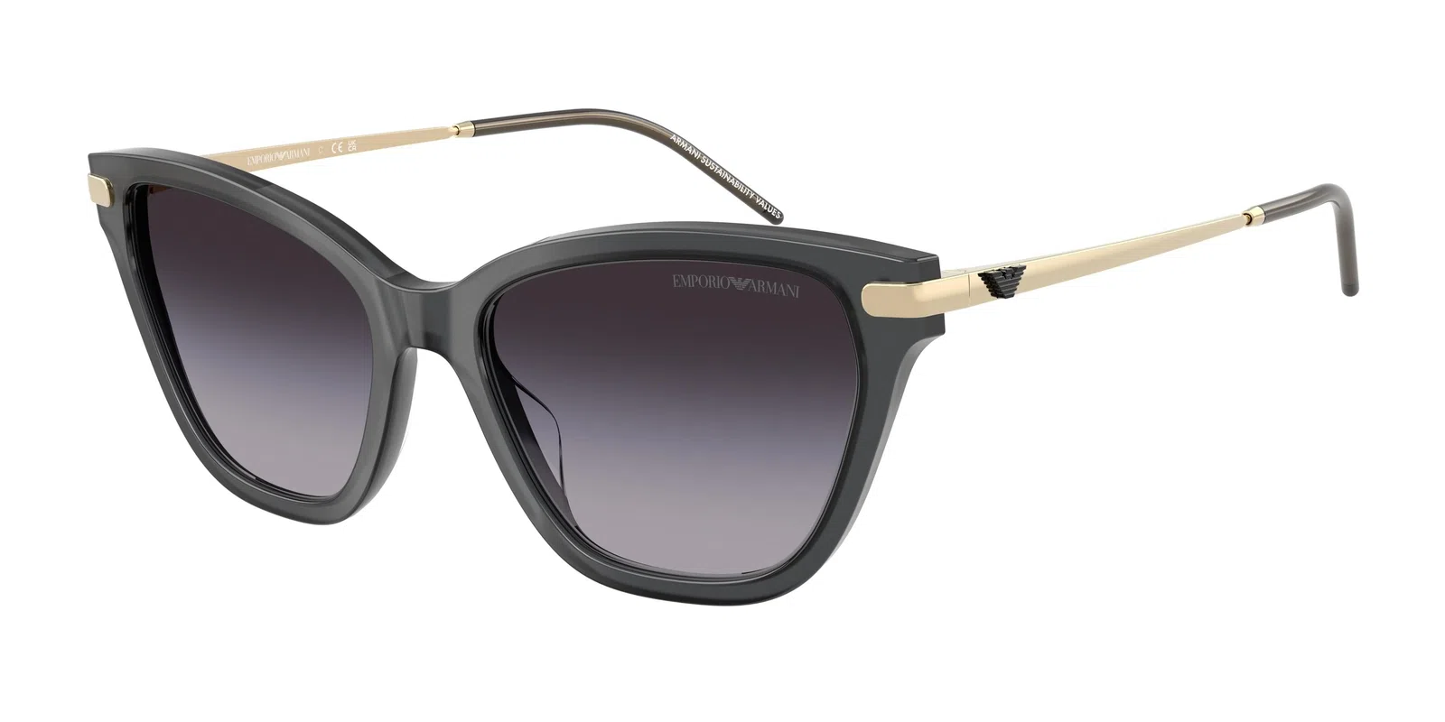 Emporio Armani 4251 Sunglasses - view 5